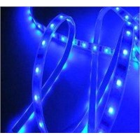 3528 Blue Color Led Strip Light IP65 Lighting for Decoration Lighting