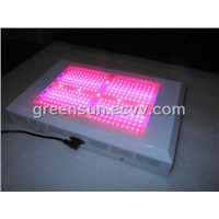 600w Led Plant Grow Lights for Sale with 288*2w LEDs