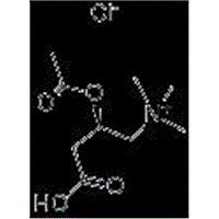 Acetyl-L-Carnitine Hcl