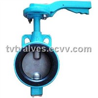 Aluminium Body Butterfly Valve