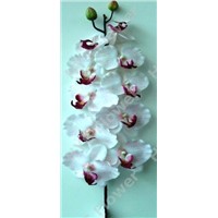 Artificial flower with high quality: Artificial orchid of silk flower