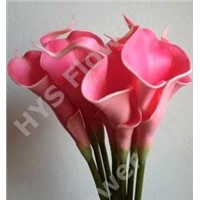 Artificial flower with high quality: Mini size of Calla Lily