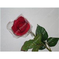 Artificial flower with high quality for Christmas decoration: Real touch Rose