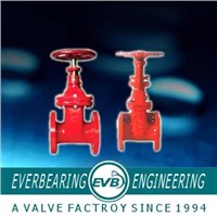 BS5163 valve