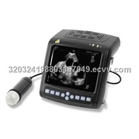 B mode ultrasound scanner for Vet Use->MSU1