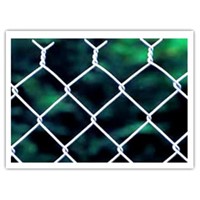 Chain Link Fence