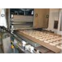 Conveyor Belt