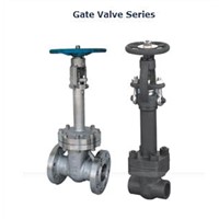 Cryogenic Gate Valve