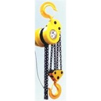 DHP Electric Hoist