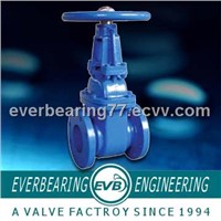 DIN Cast Iron Rising Stem gate valve