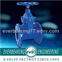 DIN PN10_PN16 gate valve