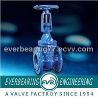 DIN PN16 rising stem gate valve