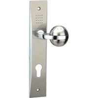 Door Handle Lock on Plate