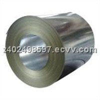 Galvanzied steel coil