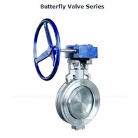 High Performance Butterfly Valve