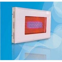 High Power 300W Red and Blue Home Led Plant Grow Lights