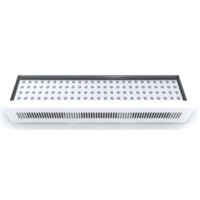 High Power Hydroponics &amp;amp; Horticulture &amp;amp;greenhouse 100W-3GB led grow lighting