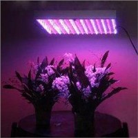 Indoor 50W-EVO led grow light for Hydroponics & Horticulture &greenhouse AC 85 ~ 260V