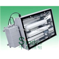 Induction lamp-Tunnel Light 404