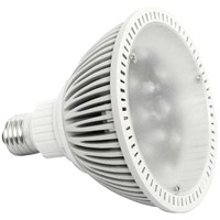 LED Spot Light (HY-PAR38-12B4C)
