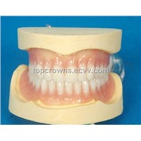 Removable Dental of Acrylic denture with ivoclar teeth Equipments