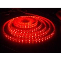 SMD 5050 Waterproof Led Strip Light for Outdoor Lighting DC 12V/24V