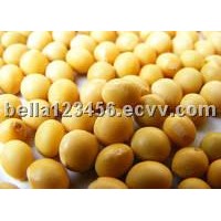 Soybean Extract Powder 40% isoflavones