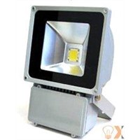 Waterpoof outdoor 70W led flood lighting bulbs 400*285*115 mm for bars,clubs,hotels,stages