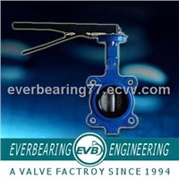 cast iron flange end butterfly valve