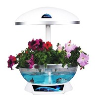 concept product ! as a creative table lamp mini fish tank hydroponics as holiday birthday gifts