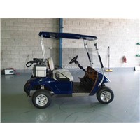 electric golf cart-2