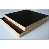 film faced plywood