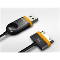 iPhone USB Cable