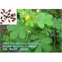 manufacture direct supply Cassia Seed Extract