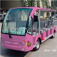 new electric sightseeing car