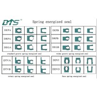 spring energized seal