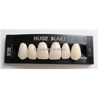 acrylic teeth KAILI S6