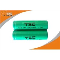 1.5V AA 2900mAh LiFeS2 Primary Lithium Battery
