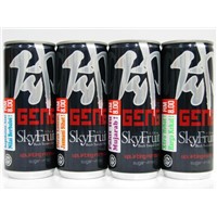 GENG SkyFruit Functional Drink