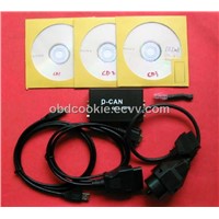 D-CAN Interface