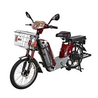 Electric bicycles - 114DC