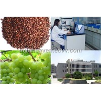 Grape Seed Powder Extract