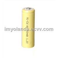NiCD AA700mAh Battery (BFN002)