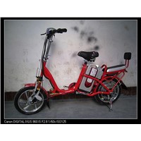electric bike(cai zi )