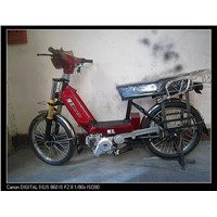 electric bike(da tian e)