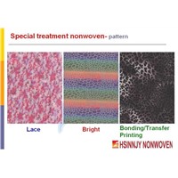 Special Treatment Nonwoven-Characteristic Introduction
