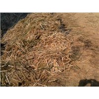 Bamboo Sawdust & Fibers