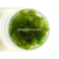 Dry seaweed - Ulva lactuca, sargassum, gracilaria, eucheuma cottonii