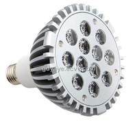 12W LED Spotlights & LED Bulbs (YAYE-E27-DG12WG3)