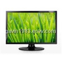 19 Inch Wide LCD Monitor